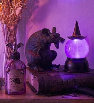 Spirit